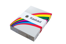 Papier kolorowy KASKAD Sparrow Grey 93 80g A4