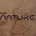 Karton KRAFT Nature 0400 C/E beż 280[g/m2]700x1000 10 arkuszy